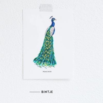 Karte Pfau