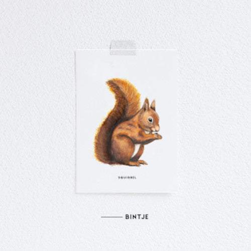 Karte Eichhörnchen