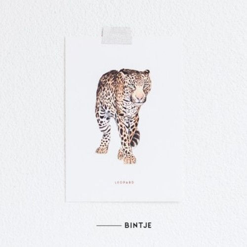 Kartenleopard