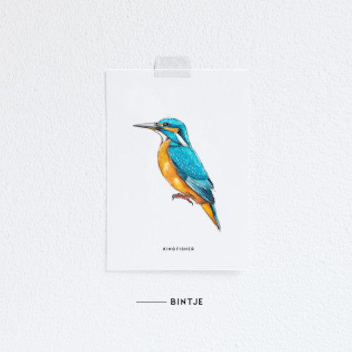 Karte Eisvogel