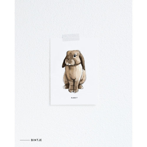 Kartenkaninchen