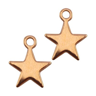DQ-bedel ster rose goud (2x)