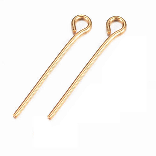 Kettelstift rvs goud (6x)