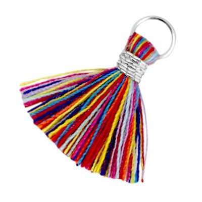 Kwastje met ringetje multikleur zilver 1.6 cm (1x)
