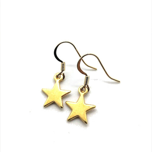 Oorbellen ster goud