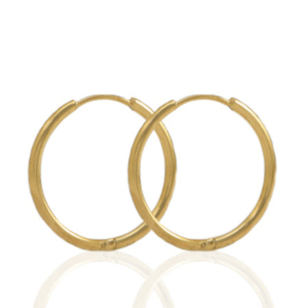 Oorringen roestvrijstaal goud 19 x 1,6 mm (p.p)