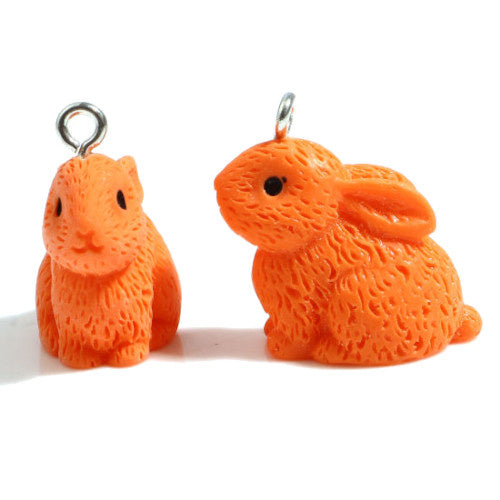 Charm Hase orange