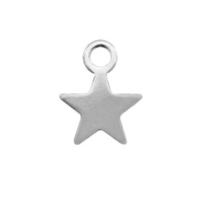 Charm Edelstahl Silber Stern (1x)