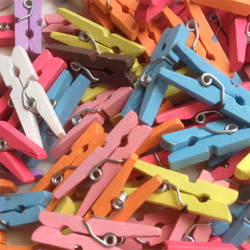 Restant houten mini knijpers (100x)