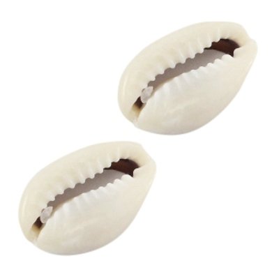 Offene Kauri-Muschelperle Mini weiß beige (6x)